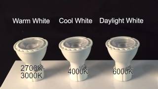 LED GU10 Light Bulbs [upl. by Strephon209]