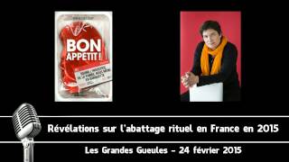 Révélations sur labattage rituel en France en 2015 [upl. by Fernandina]