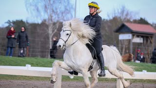 A day with TheHorseSeller  ICELANDIC HORSE DREAMS  S1E12 Qualitag [upl. by Ohcamac]