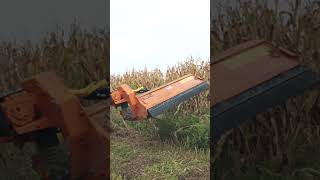 Mulch to the side of the tractor has never been easier shorts berti mulcher bertimulcher [upl. by Melleta]