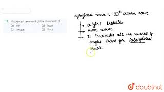 Hypoglossal nerve controls the movements of [upl. by Upshaw]