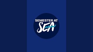 Semester at Sea is live [upl. by Maudie667]