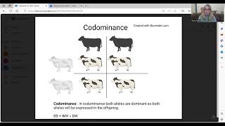 Codominance Incomplete Dominance and Punnett Squares [upl. by Nosreme]