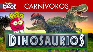 🦕 DINOSAURIOS CARNIVOROS PARA NIÑOS EN ESPAÑOL Top Juguetes [upl. by Giraldo]