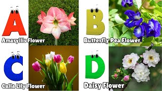 Flowers ABC Song for Kids  Phonics for Kids  English Alphabet Letters [upl. by Acassej]