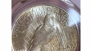 1923 S Peace Dollar with retained CUD [upl. by Adala]