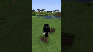 IL NUOVO AGGIORNAMENTO 122 DI MINECRAFT minecraft shorts [upl. by Aicele]