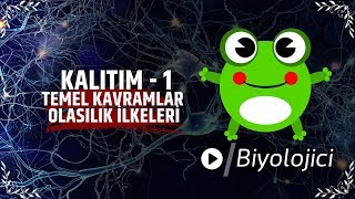 Kalıtım 1 tyt ayt yks [upl. by Platto336]