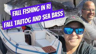 Fishing for Tautog and Sea Bass in Narragansett Bay RI  Fall 2022 [upl. by Elwood]