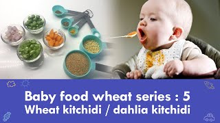 Baby food wheat series 5  Wheat kitchidi  dahlia kitchidi [upl. by Bab914]