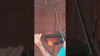 ANDANTINO Método Suzuki 1 7 meses aprendiendo violín [upl. by Ravaj660]