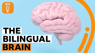 Why being bilingual is good for your brain  BBC Ideas [upl. by Trstram253]