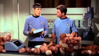 Great Bones McCoy Lines Part 2 [upl. by Are]