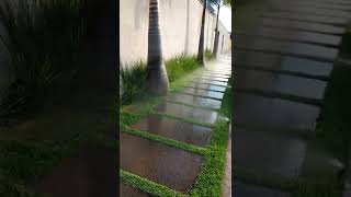 Irrigação de calçada com grama  Irrigação sempre verde [upl. by Ohaus980]