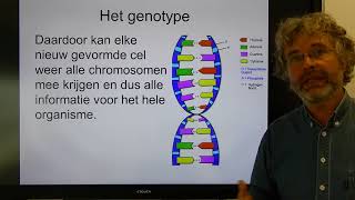 Biologie HV OB Chromosomen genen en genexpressie [upl. by Rapp12]