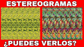 ESTEREOGRAMAS COMO VERLOS y su HISTORIA COMPLETA MUY INTERESANTE este DATO [upl. by Nassi]