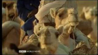 The Lost Libraries of Timbuktu 1 of 5  BBC Travel Documentary [upl. by Kcirddec]