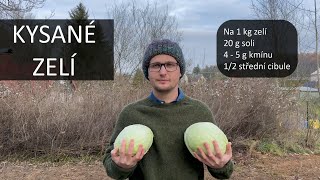 Kysané zelí  Rychlý recept [upl. by Sanderson53]