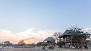 nThambo Tree Camp Klaserie Nature Reserve Kruger National Park [upl. by Cindie229]