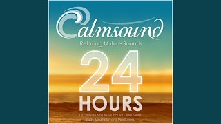 Ocean Sounds 2 Hours of Relaxing Ocean Waves [upl. by Rosen]