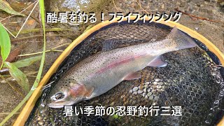 酷暑の時期の忍野釣行三選 暑さを釣るフライフィッシング・タクティクス [upl. by Aurelia396]