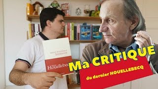 CRITIQUE de Sérotonine de Michel Houellebecq  un échec après Soumission [upl. by Corbet]