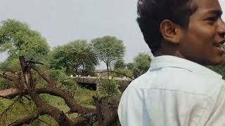 Aaj khet me stunt dekhya viralvlogs viralvideos youtubevideo insta [upl. by Pawsner]