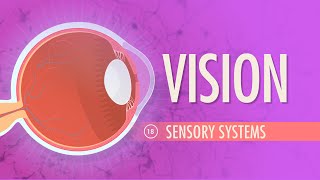 Vision Crash Course Anatomy amp Physiology 18 [upl. by Papageno550]