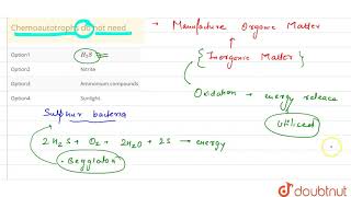 Chemoautotrophs do not need [upl. by Binette]