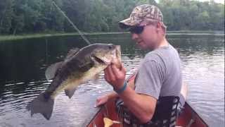 Fly Fishing Largemouth Bass [upl. by Susette]