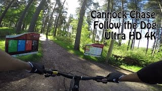 4K Cannock Chase  Follow the Dog  Full Trail [upl. by Monagan]