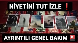 NİYETİNİ TUT İZLE ❗ AYRINTILI GENEL BAKIM 🎴 tarot [upl. by Evadne]