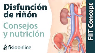 Alimentación nutrición y consejos dietéticos para la disfunción de riñón [upl. by Supen940]