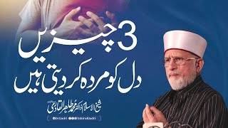 How Dr Tahir ul Qadri Studied  from 3am till 11pm English [upl. by Arah114]