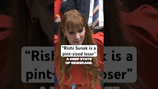 Angela Rayner absolutely bodies Rishi Sunak at PMQs [upl. by Akimed]