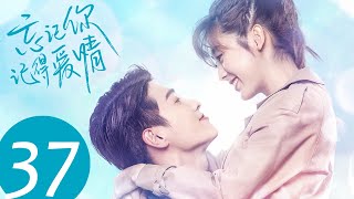 ENG SUB【忘记你，记得爱情 Forget You Remember Love】EP37  没想到当年的事故真相竟然是这样 [upl. by Alonzo]