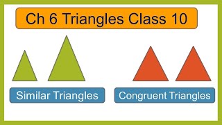 Ch 6  Triangles  Class 10  NCERT  CBSE [upl. by Tersina]