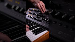 Classic lead sound with Moog Subsequent 37 🎶 ❤️ [upl. by Gilda]