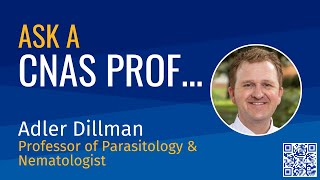 Ask a CNAS Prof Adler Dillman Professor of Parasitology amp Nematologist [upl. by Ratna]