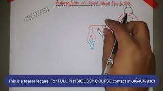 Autoregulation of GFR amp Renal Blood Flow  Renal Physiology  বাংলা [upl. by Mastic]