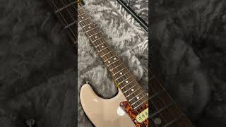 Fender American Professional II Stratocaster Thinline Limited Edition SemiHollow Electric Guitar [upl. by Nylemaj490]