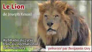 Le Lion de Joseph Kessel [upl. by Kellen542]