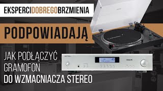 Jak podłączyć gramofon do wzmacniacza stereo  Poradnik [upl. by Dragoon]