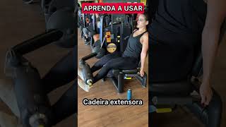 CADEIRA EXTENSORA APRENDA A USAR MICHEL ARLINDO [upl. by Anailuig]