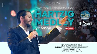 Shloime Gertner  Hartzig Medley LIVE 🪔 שלומי גרטנר  מחרוזת זיץ‏ [upl. by Drusie]