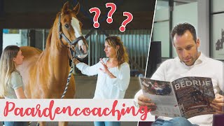 Paardencoaching met mijn oud docent amp STOPPEN als SPRINGRUITER  felinehoi [upl. by Eigna610]