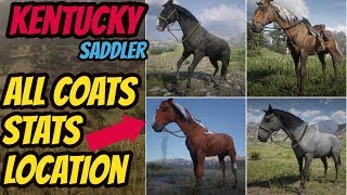 Red Dead Redemption 2 Kentucky Saddler LOCATION amp ALL COATS amp STATS GOOD HORSE GUIDE [upl. by Nyltiak]