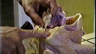 Deboning a whole chicken Part 1 of 4 [upl. by Mena]