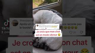 Commentaires TikTok chantés par IA  Le Chatmsung 🐱📳 [upl. by Aniuqahs]