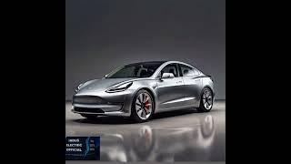 Tesla Model 3 Battery Life What to Expect  Electric Vehicle Range amp Battery Tips [upl. by Chaiken846]